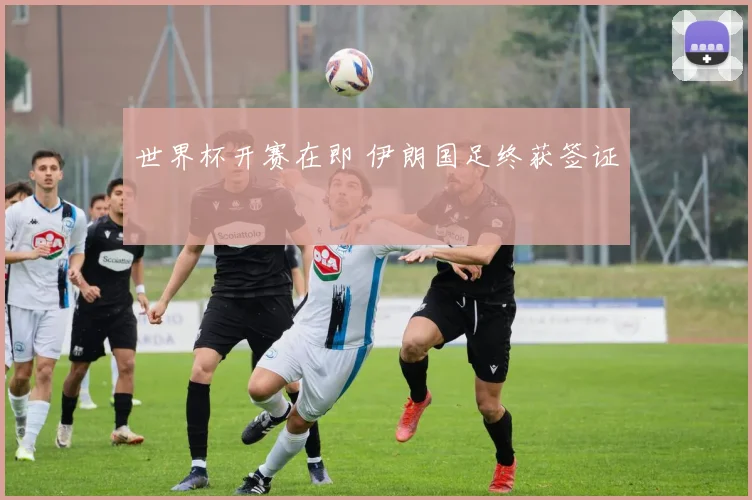 世界杯开赛在即 伊朗国足终获签证